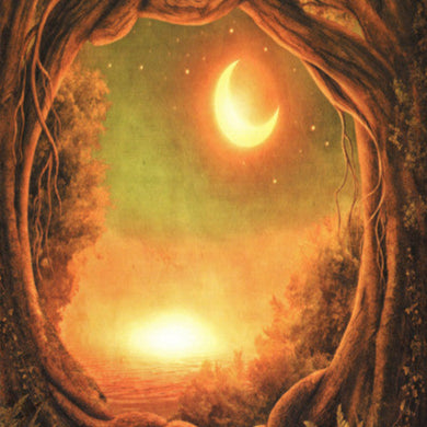 DRUADAN FOREST - The End Of An Era - A Journey To The Unknown (Book2CD)