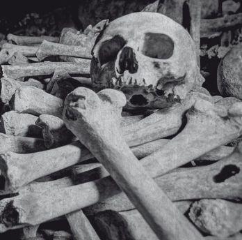 ENCOFFINATION - Necros Obscuritas (CD)