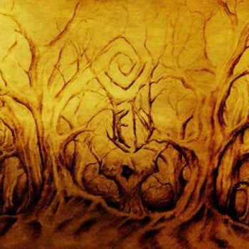 FEN - The Malediction Fields (2 x 12")