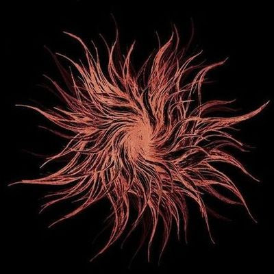 GALAKTIK CANCER SQUAD - Ghost Light (CD)