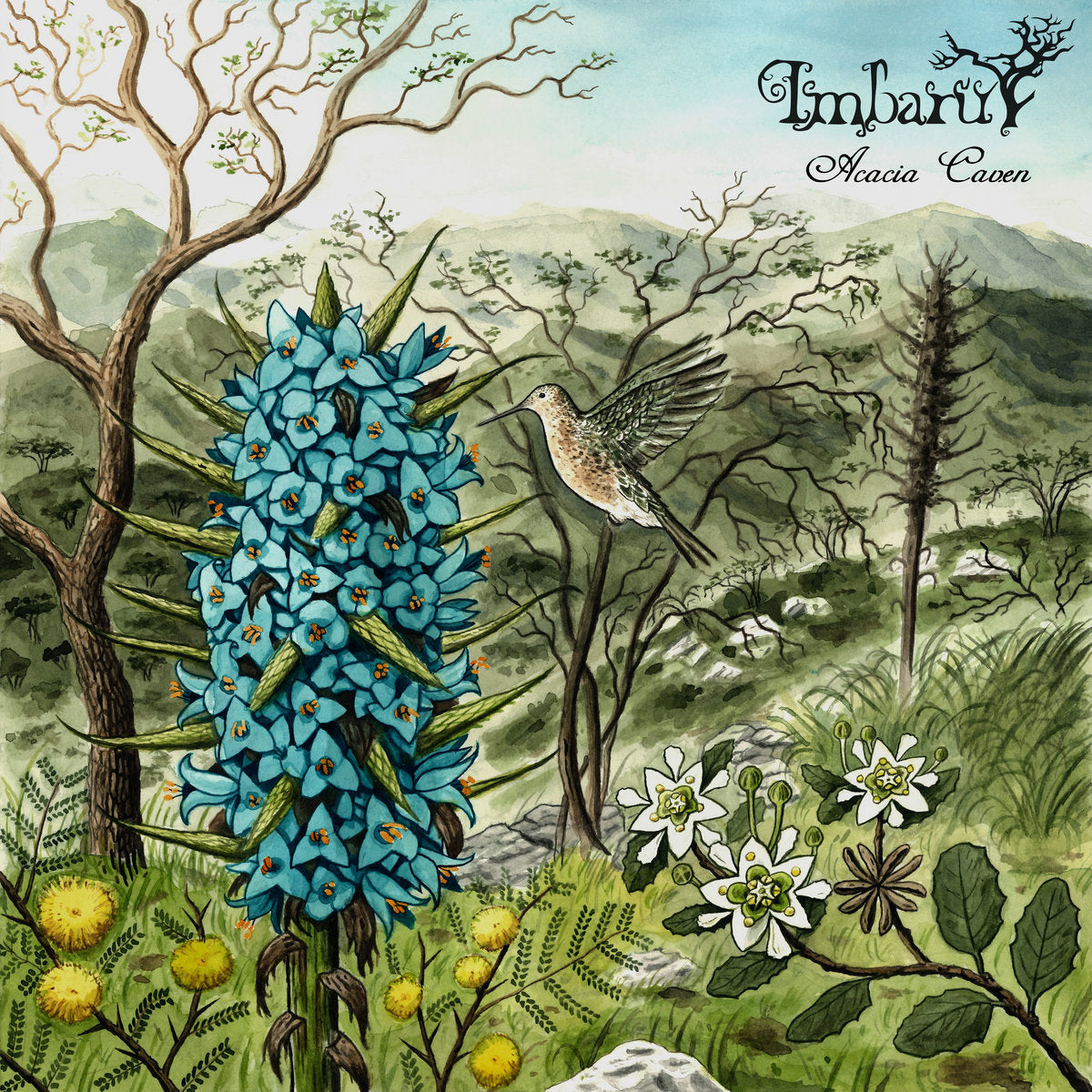 IMBARU - Acacia Caven (A5 DigiCD)