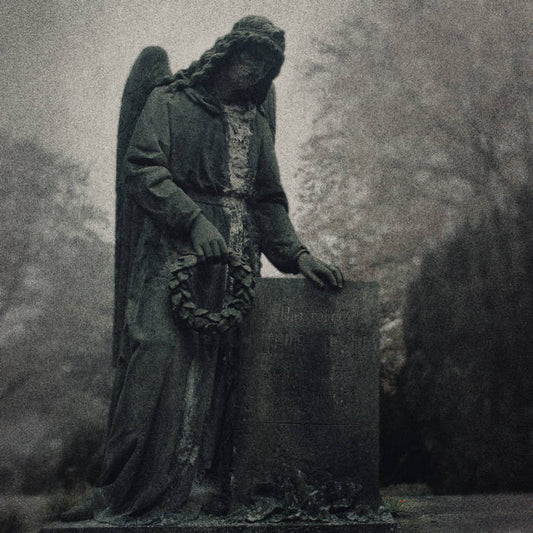 SINISTER DOWNFALL - The Last Witness (DigiCD)