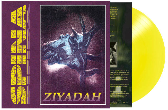 SPINA BIFIDA - Ziyadah (12")