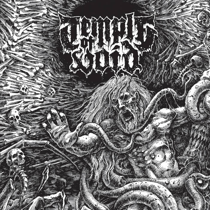 TEMPLE OF VOID - The First Ten Years (2 x 12")