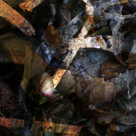 THE RIVER - A Hollow Full Of Hope (CD)