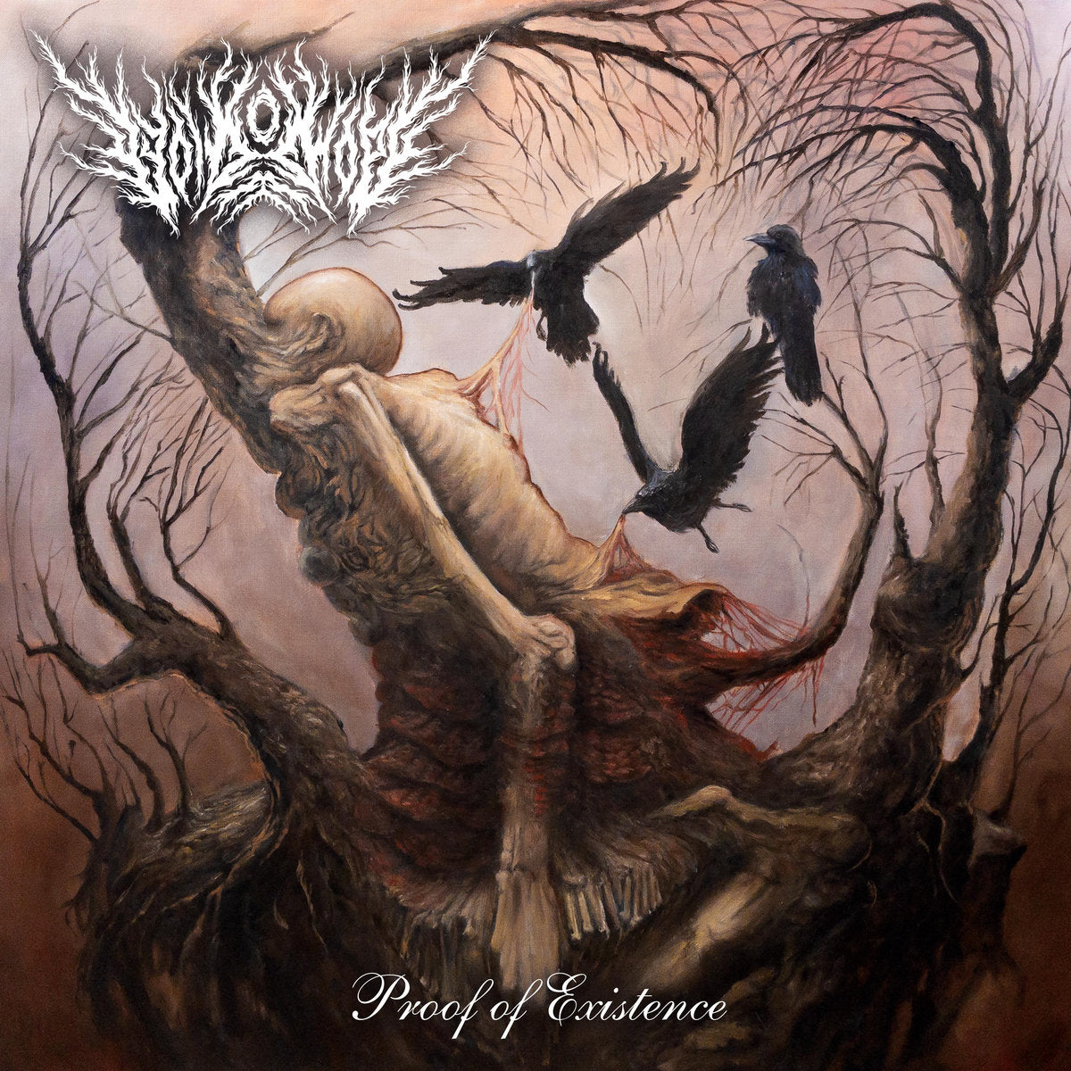 VOID OF HOPE - Proof Of Existence (12")