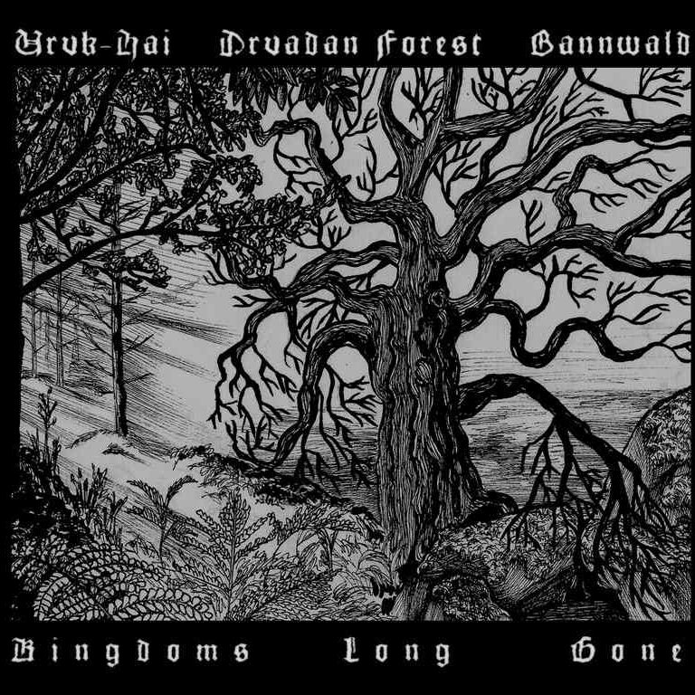 URUK-HAI / DRUADAN FOREST / BANNWALD - Kingdoms Long Gone (Split DigiCD)