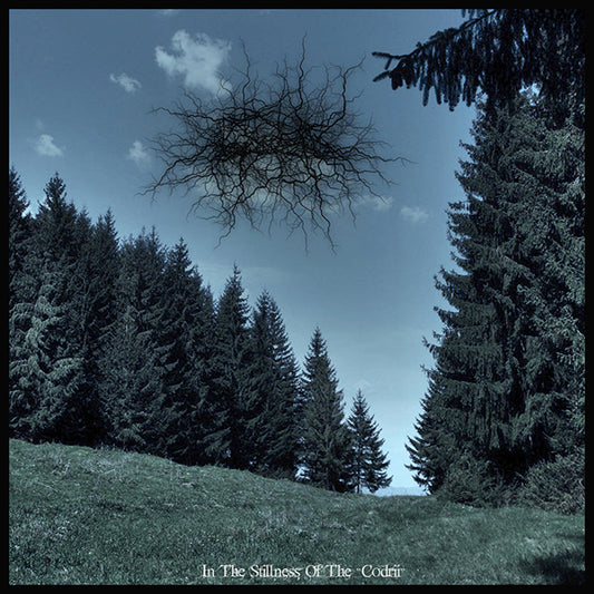 BASARABIAN HILLS - In The Stillness Of The Codrii (DigiCD)
