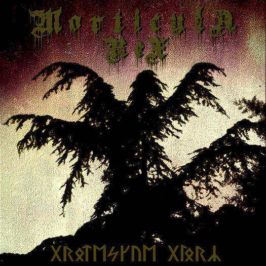 MORTICULA REX - Grotesque Glory (CD)