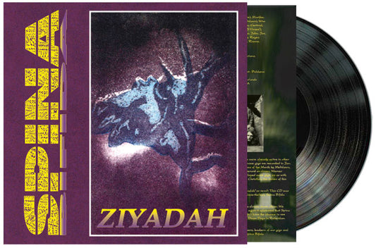 SPINA BIFIDA - Ziyadah (12")