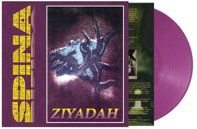 SPINA BIFIDA - Ziyadah (12")