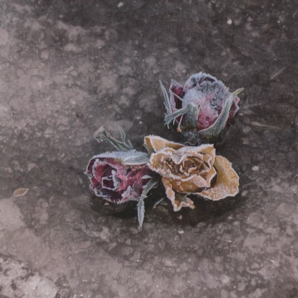 VOLUNTARIA / TRAUER - Wintersturm (CD)