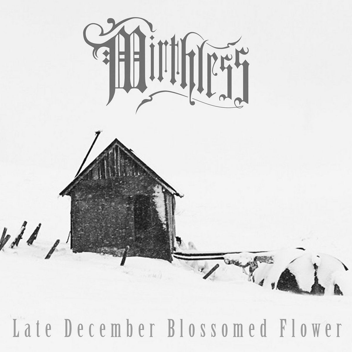 MIRTHLESS - Late December Blossomed Flower (DigiCD)